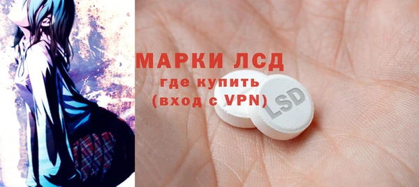 PSILOCYBIN Алзамай