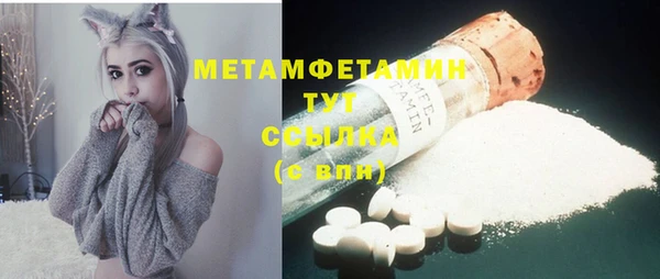 прущие грибы Дубовка