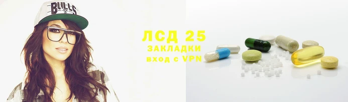 PSILOCYBIN Алзамай
