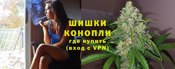 PSILOCYBIN Алзамай