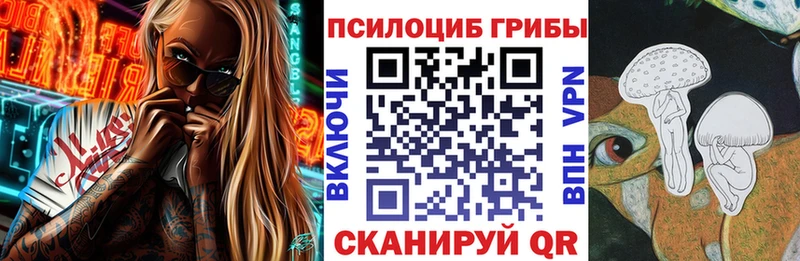 где купить   Тайшет  Галлюциногенные грибы Psilocybe 