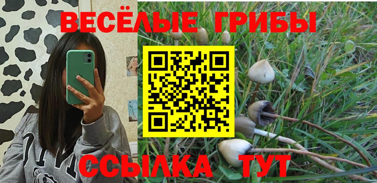 Тайшет  Галлюциногенные грибы MAGIC MUSHROOMS  Вход с VPN 