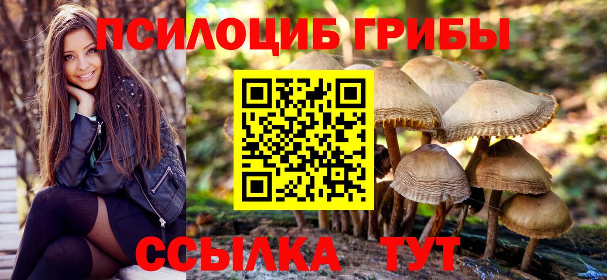 Галлюциногенные грибы мухоморы Тайшет